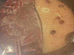 -朱光玉火锅馆(正弘城店)