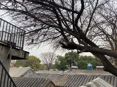 -Santoor 萨都里印度餐厅(北锣鼓巷店)
