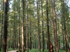 android_upload_pic-上海怡沁园度假酒店