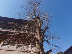 -径山寺
