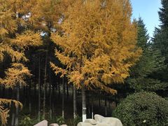 -长春世界雕塑园冰雪艺术天地