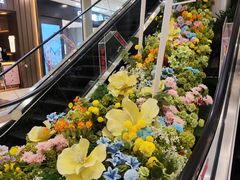 -凯德MALL(望京店)