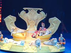 -广州长隆国际大马戏