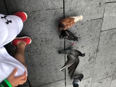 -詹爷爷乌节路街头冰淇淋