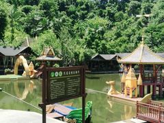 -西双版纳原始森林公园