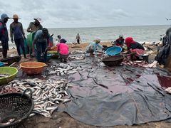 -尼甘布海鲜市场