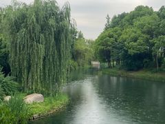 -尚贤河湿地