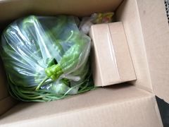 -光明食品集团有限公司