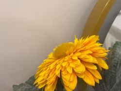 -MONICABOX美甲美睫