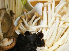 菌类拼盘-洪氏嗨捞·猪肚鸡火锅(阳光天地店)