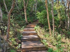 -白草畔自然风景区