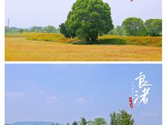 -良渚古城遗址公园