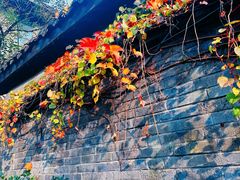 -星巴克臻选(成都宽窄巷子店)