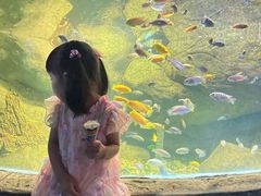 -苏州海洋馆