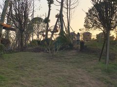 -枫香湖儿童公园