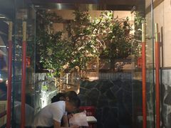 -哥老官重庆美蛙鱼头(西湖银泰十一哥店)