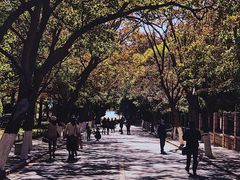 -八大关景区