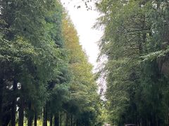 -山王坪喀斯特国家生态公园