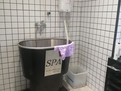 -柚子宠物(伊珊娜调理店)
