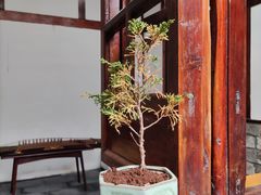 -海窝子古镇
