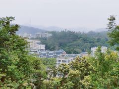 -梧桐山风景名胜区