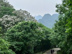 -香桥岩溶国家地质公园