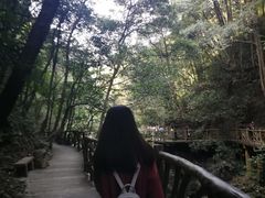 -永泰中国云顶