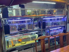 -小小饭店·休闲农庄·安吉松树林里的农家菜