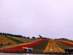 -东部华侨城