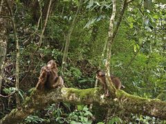 -西岭雪山大飞水景区