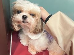 -和它·交个朋友·狗咖猫咖(爱琴海店)