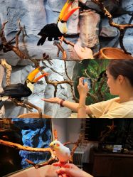 -Zoolung Zoolung动物主题公园(海信广场店)