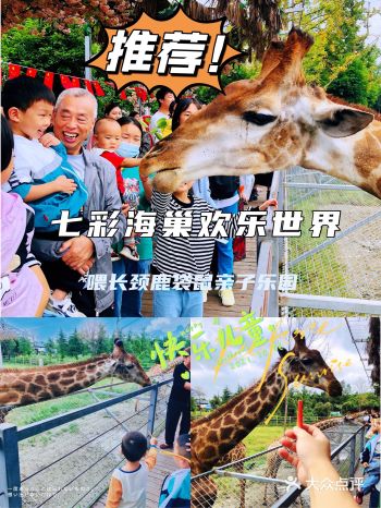 超多萌宠️超多表演️超级适合溜娃的亲子乐园️