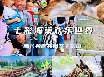 超多萌宠️超多表演️超级适合溜娃的亲子乐园️
