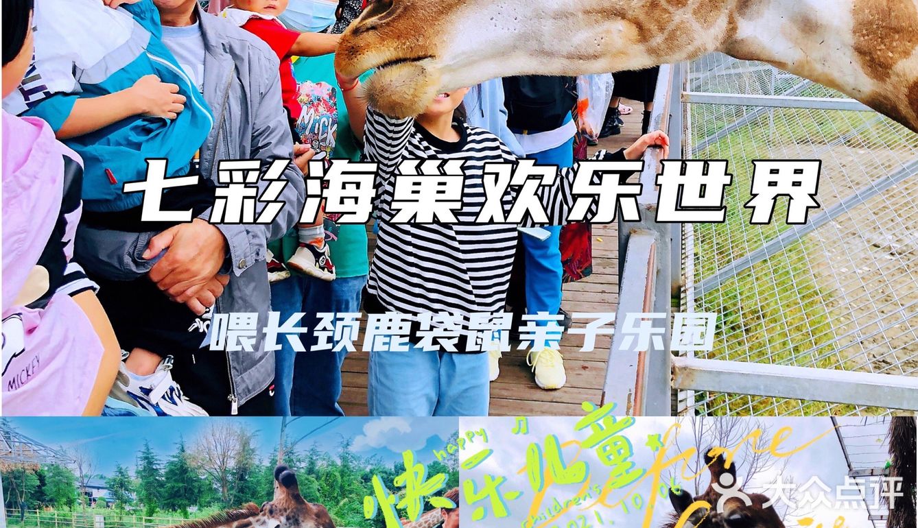 超多萌宠‼️超多表演‼️超级适合溜娃的亲子乐园㊙️
