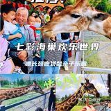 超多萌宠‼️超多表演‼️超级适合溜娃的亲子乐园㊙️