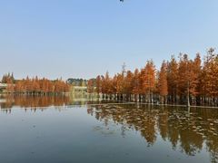 -白鹭湾湿地公园