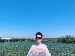 -白鹿原葡萄主题公园