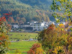 -塔川景区