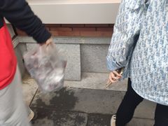 -邓氏兔头