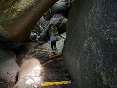 -亚龙湾热带天堂森林公园