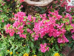 -人民公园(罗湖区)