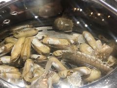 -苏大嘴海鲜牧场(奥林匹克店)