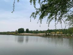 -东郊湿地公园