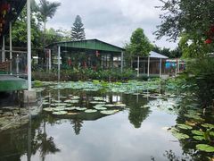 景观位-一品烧农庄·佛山本地菜(西岸店)