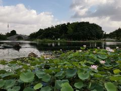 -映月湖公园