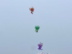 -大连海昌东方水城