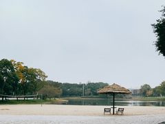 -佘山世茂艾美·御珍轩中餐厅