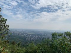 -杭州半山国家森林公园