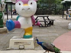 -北京麋鹿生态实验中心